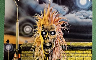 IRON MAIDEN - Iron Maiden   LP