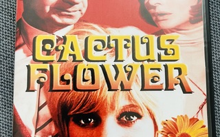 Kaktuksen kukka (1969) Goldie Hawn, Ingrid Bergman SuomiTXT