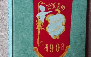 Kukkaroherrojen pelot: Pietarsaaren työväki 1901-1918