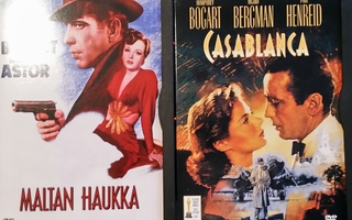 Casablanca + Maltan Haukka- DVD