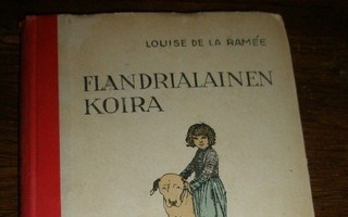 Flandrialainen koira 1927