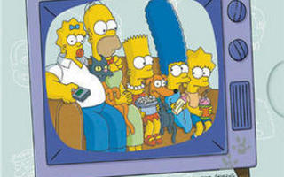 Simpsonit  -  Kausi 2  -  (4 DVD)