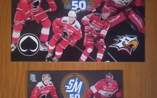 2024-25 Blueline Box card +Jumbo Ässät