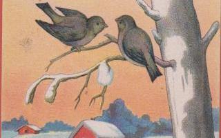 Linnunpönttö ja linnut , talot taustalla - vanha kortti
