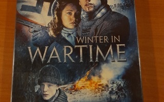 Winter in wartime