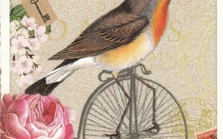 Adriana Sanmartin: Lintu ajaa pyörää (Tausendschön-kortti)