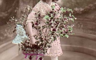 LAPSI / Kaunis pieni tyttö mistelikimppu sylissään. 1900-l.