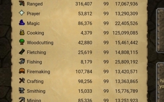 Osrs main maxxed