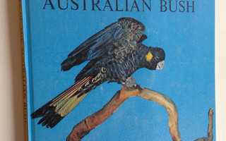 Harold J. Pollock : Voices of the Australian Bush (+vinyy...