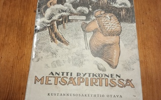 Metsäpirtissä - Antti Rytkönen