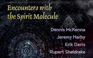 DMT Dialogues: Encounters with the Spirit Molecule