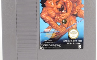 Tecmo World Wrestling