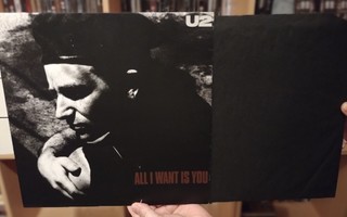 U2 – All I Want Is You (12" vinyyli)