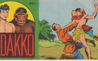 VIIDAKKO 1960 19 (6 vsk.)