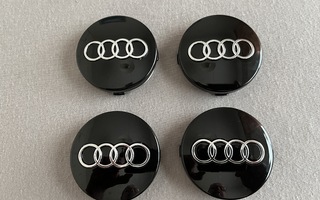 Audi - Vannemerkit -