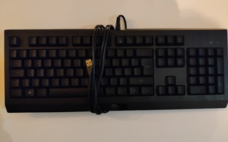 Razer Cynosa Lite pelinäppäimistö