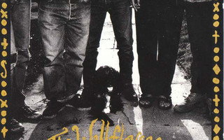 The Wallflowers (CD) VG++!! s/t