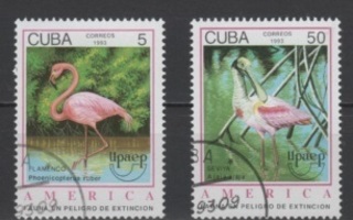 (S2021) CUBA, 1993 (America. Endangered Species). Used