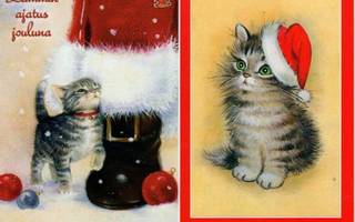 kortti Kissa - erilaisia joulukorttipareja