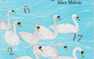 COUNTING BIRDS Paperback   Alice Melvin nid UUSI