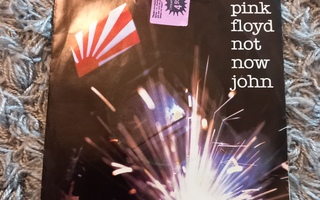 Pink Floyd - Not now John
