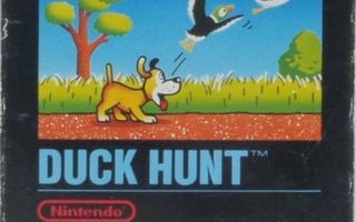 Duck Hunt