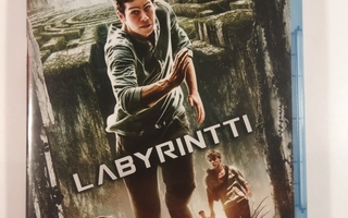 (SL) BLU-RAY) Labyrintti - The Maze Runner (2014)