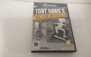 Tony Hawks underground NGC