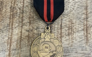 Commemorative medal of the Winter War for foreigners in bron