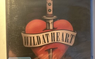 WILD AT HEART, BluRay, Lynch, Cage, Dern, muoveissa