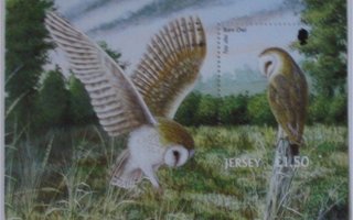 Jersey ** £1.50 Barn Owl 2001