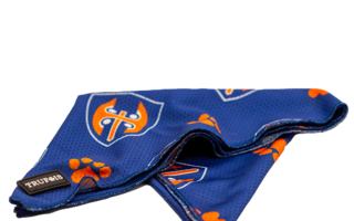 Viilennyshuivi- Tappara-Shop