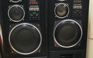 Radioteknika kaiuttimet S90D