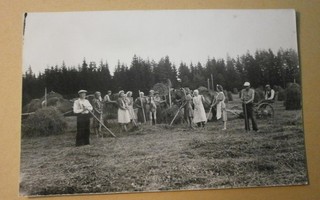 Luumäki, heinänkorjuuta isolla väellä 1943, valokuvapk, k-k