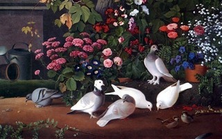 Ferdinand von Wright, Kukkia ja lintuja puutarhan nurkassa