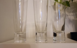 Iittala Aarne pilsnerilasit