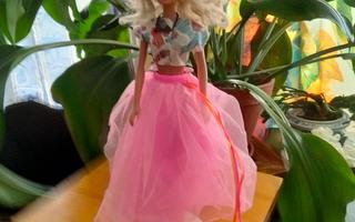 Barbie+ vaatteet ja harja.Sekä kengät.