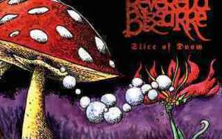 Reverend Bizarre – Slice Of Doom 4LP +DVD BOX SET SIGNED
