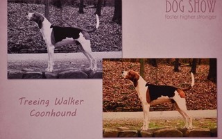 Treeing Walker Coonhound #3006*