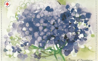 M. Immonen - Sininen  hortensia
