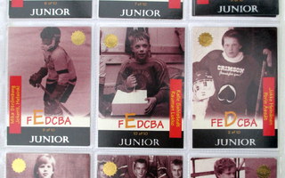 1994-95 Sisu Junior kortteja, Katso