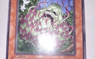 1996 Yu-Gi-Oh Grass Phantom card