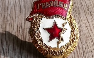 Neuvostoliittolainen emalinen merkki Kaarti
