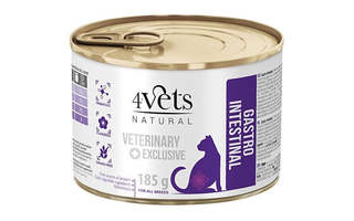4VETS Natural Gastro Intestinal Cat - kissan märkäruoka - 