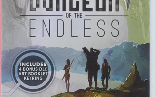 Dungeon of The Endless