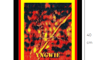 Yngwie Malmsteen canvastaulu 30 cm x 40 cm musta kehys
