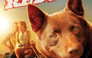 Red Dog  -  DVD