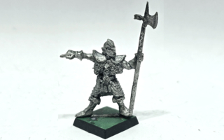 Warhammer Fantasy - Dark Elf Regiment Leader [G142]