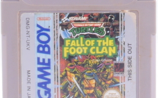 Teenage Mutant Ninja Turtles: Fall Of The Foot C