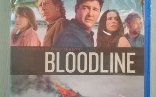 Bloodline - Kausi 1 Blu-Ray